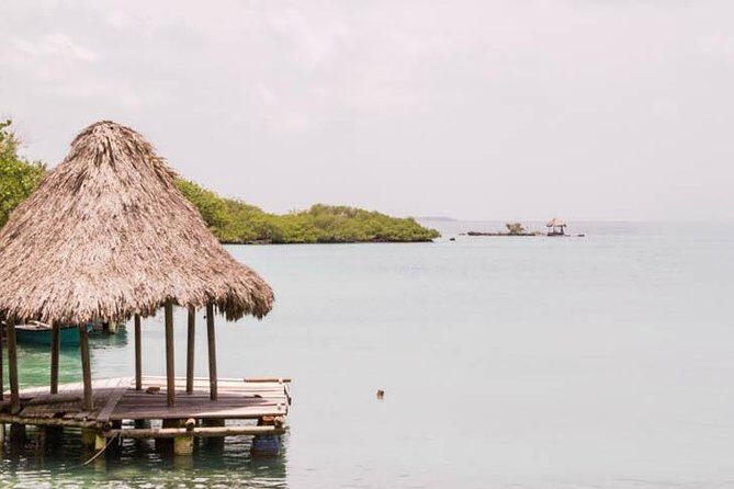 Rosario Islands Day Trip: Snorkel & Sunbathe at Isla del Sol - The Practical Side: Transportation and Tips