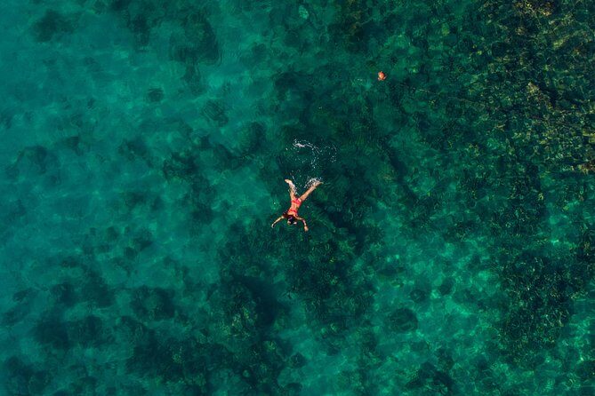 Rosario Islands Private Boat Tour - A Detailed Look at the Rosario Islands Private Boat Tour