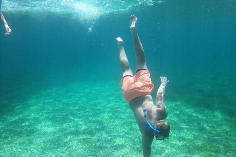 Rose Island Adventure: Turtle, Swim and Snorkel - Key Points