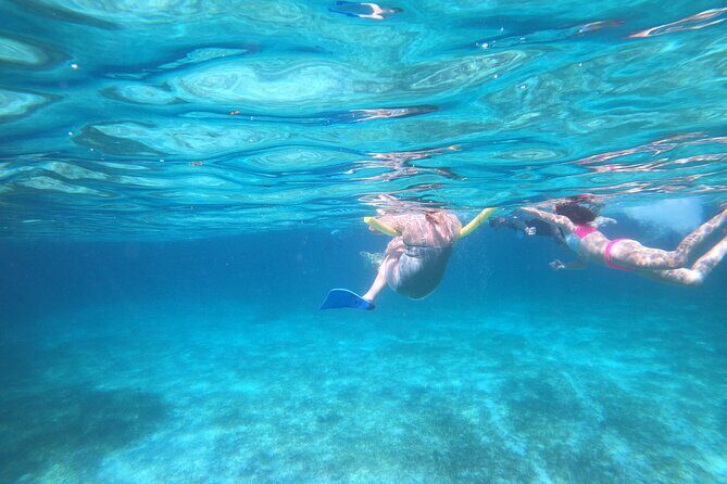 Rose Island Adventure: Turtle Swim and Snorkel - Final Thoughts