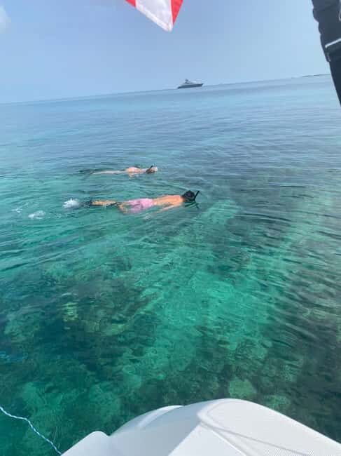 Rose Island: Pig Beach, Snorkeling, Sea Turtles, Beach - Practical Details & Considerations