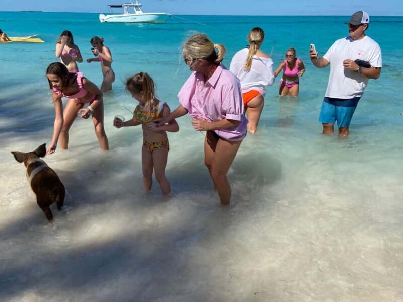 Rose Island: Pig Beach, Snorkeling, Sea Turtles, Beach - Value and Authenticity: Whats in It for You?