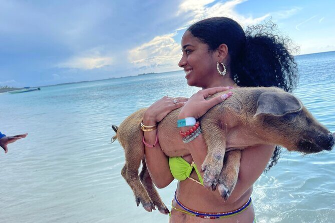 Rose Island Private Beach: Swimming with the Pigs - Overview of the Experience