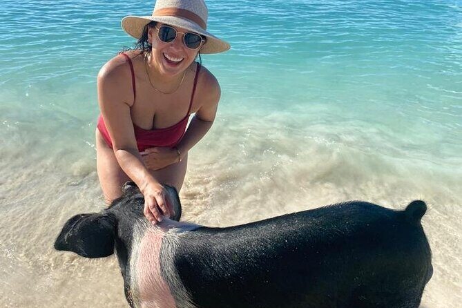 Rose Island Private Beach: Swimming with the Pigs - Who Should Consider This Tour?