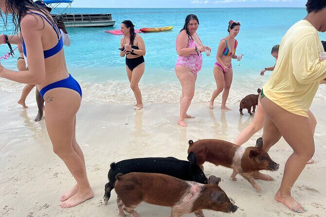 Rose Island Private Beach: Swimming with the Pigs - Final Thoughts