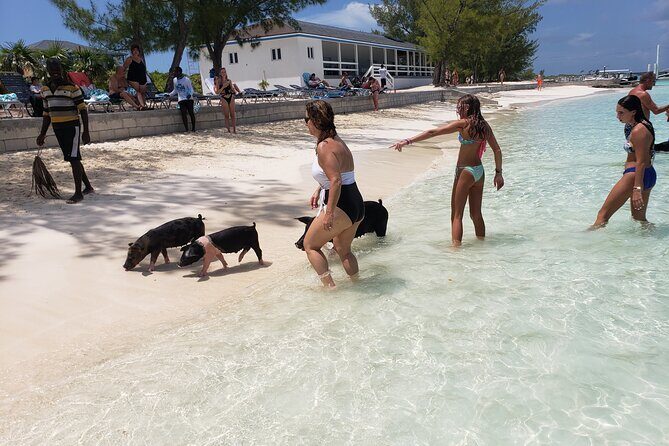 Rose Island: Private Snorkeling, Fishing, and Swimming with Pigs - Exploring the Details of Rose Island Private Tour