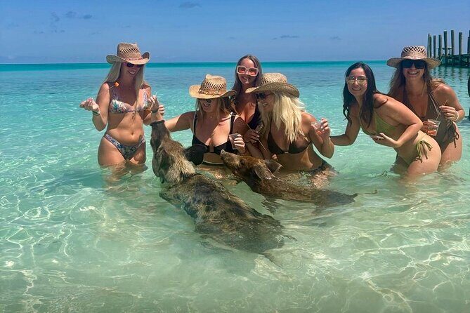 Rose Island Swimming Pigs & Beach Snorkeling Experience Nassau. - Who Should Consider This Tour?