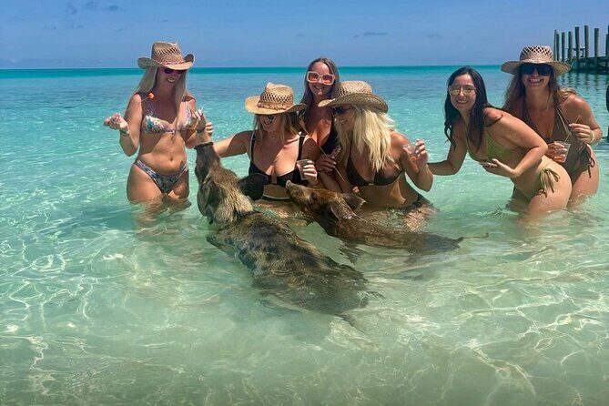 Rose Island Swimming Pigs & Beach Snorkeling Experience Nassau - Practical Considerations and Tips