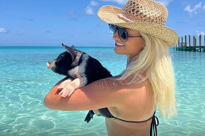 Rose Island Swimming Pigs & Beach Snorkeling Experience Nassau - Final Thoughts