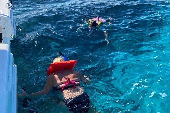 Rose Island Swimming Pigs - Who Will Love This Tour?