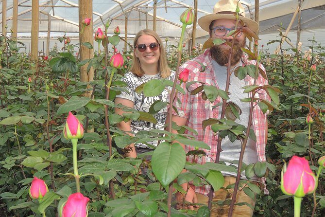 Rose Plantation, Equator Line and Otavalo Market Private Tour - Final Thoughts