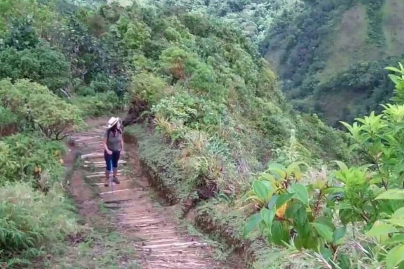 Roseau: Boiling Lake Challenge Hiking Tour with Local Guide - A Deep Dive Into the Adventure: What to Expect on the Tour
