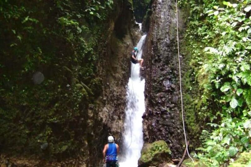 Roseau: Canyoning Discovery Tour - Roseau: Canyoning Discovery Tour — An Adventurous Day on Dominica’s Jungle and Gorge
