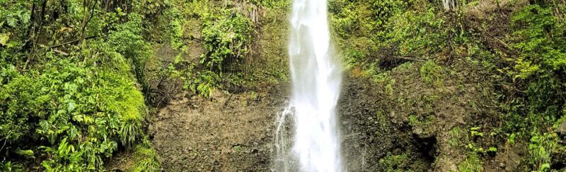 Roseau: Guided Day Trip to Popular Waterfalls - Key Points