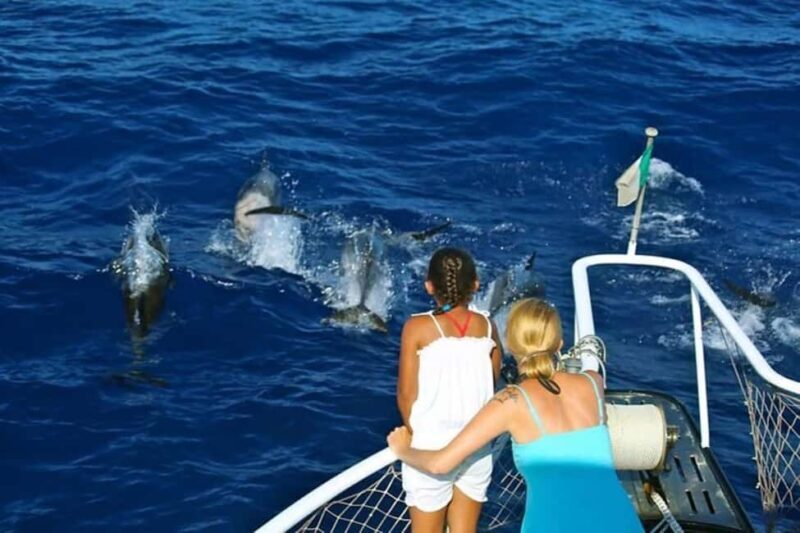 Roseau: Guided Dolphin and Whale Watching Tour With Drinks - Detailed Review of the Whale & Dolphin Watching Tour in Dominica