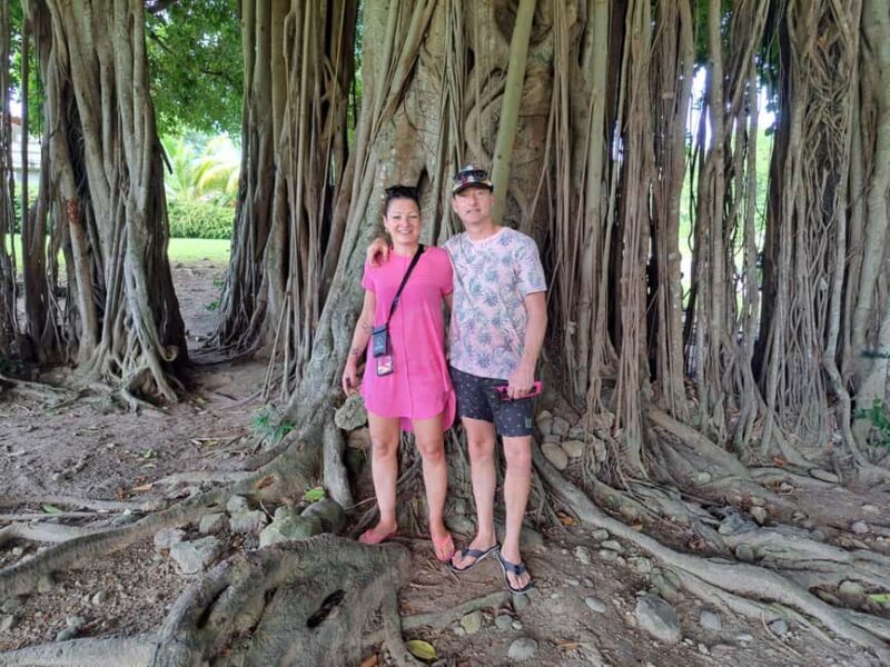 Roseau: Guided Tour with City, Nature, and Beach Options - Who Will Benefit Most