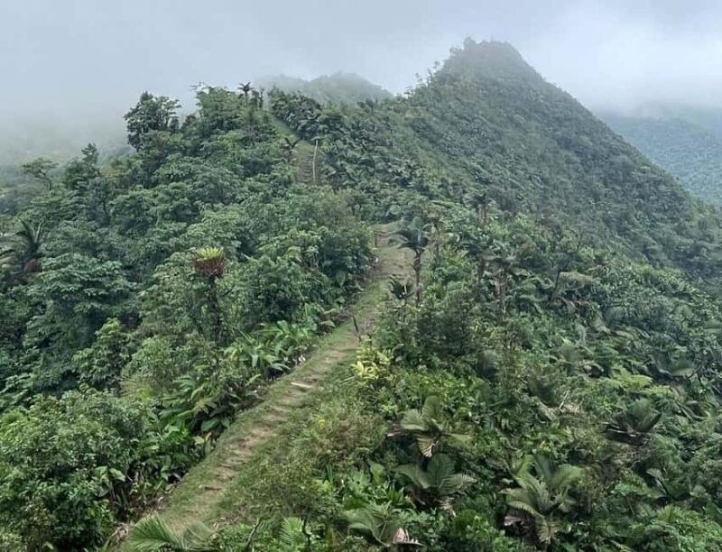 Roseau: Morne Diablotin Hike - Key Points