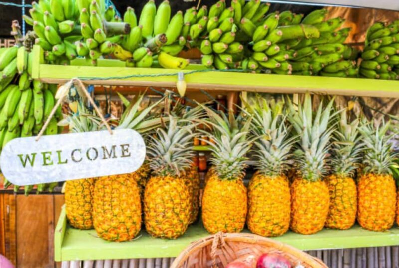 Roseau: Private Food Tasting Tour - Who Will Love This Tour?