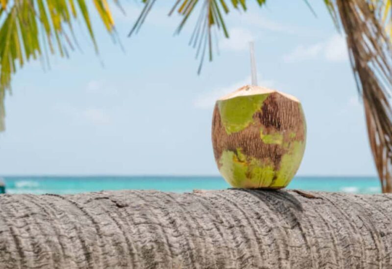 Roseau: Private Food Tasting Tour - Final Thoughts