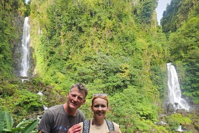 Roseau Valley to Champagne Beach Tour Experience - Who Is This Tour For?