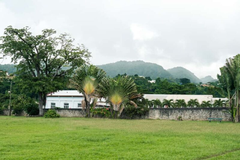 Roseaus Natural Beauty | Private Half-Day Tour - Price and Value