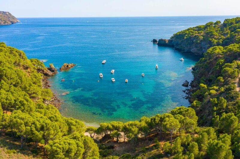 Roses: Costa Brava Catamaran Trip with Underwater Views - A Detailed Look at the Costa Brava Catamaran Experience