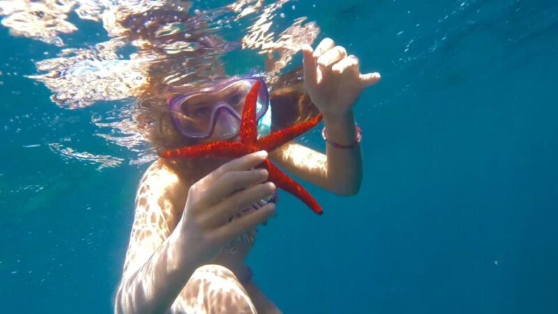 Roses: Rent the boat and live an unforgettable experience - The Sum Up