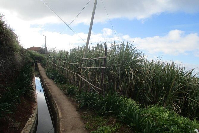 Rota do Açucar - Levada Nova (Half Day Walk) - Who Will Appreciate This Tour?