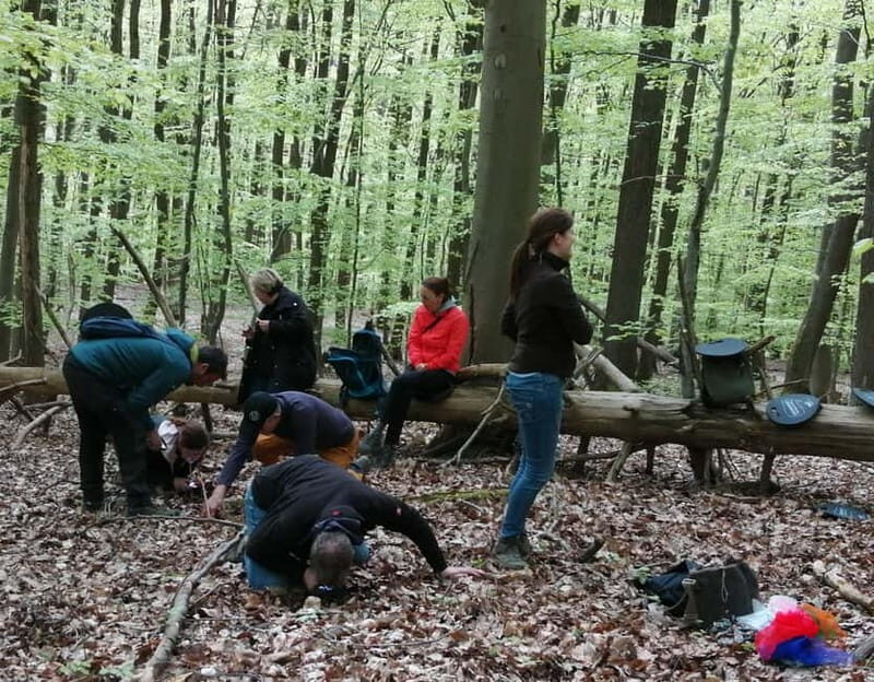 Rotenburg an der Fulda: Forest bathing with a certified guide - Setting the Scene: Arriving at the Meeting Point