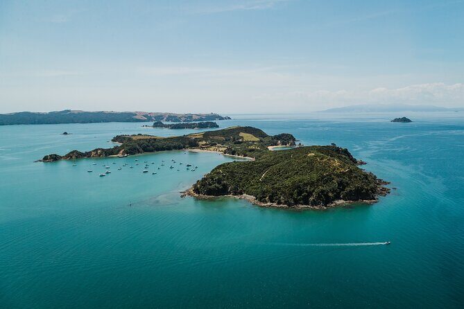 Rotoroa Island Ferry - from Auckland - The Sum Up