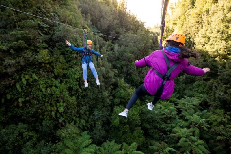 Rotorua: 6 Ziplines, 400m Tandem, Cliff Walk & Swing Bridges - Rotorua: 6 Ziplines, 400m Tandem, Cliff Walk & Swing Bridges — A Thrilling Nature Escape