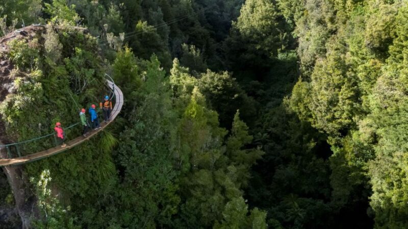 Rotorua: 6 Ziplines, 400m Tandem, Cliff Walk & Swing Bridges - The Sum Up