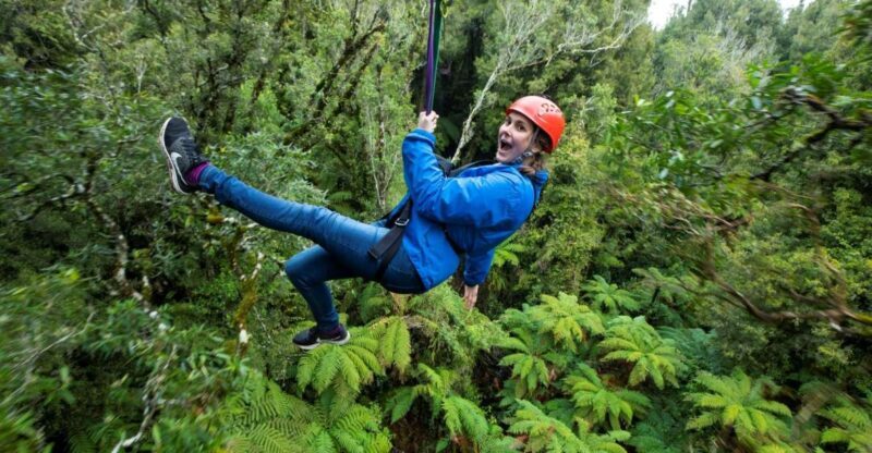Rotorua: 6 Ziplines, Swing-Bridges & Wildlife Encounters - Key Points