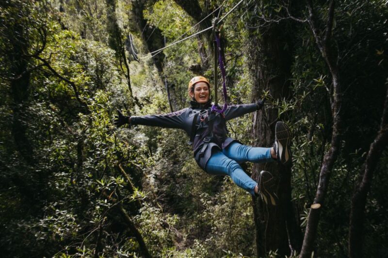 Rotorua: 6 Ziplines, Swing-Bridges & Wildlife Encounters - A Closer Look at the Experience