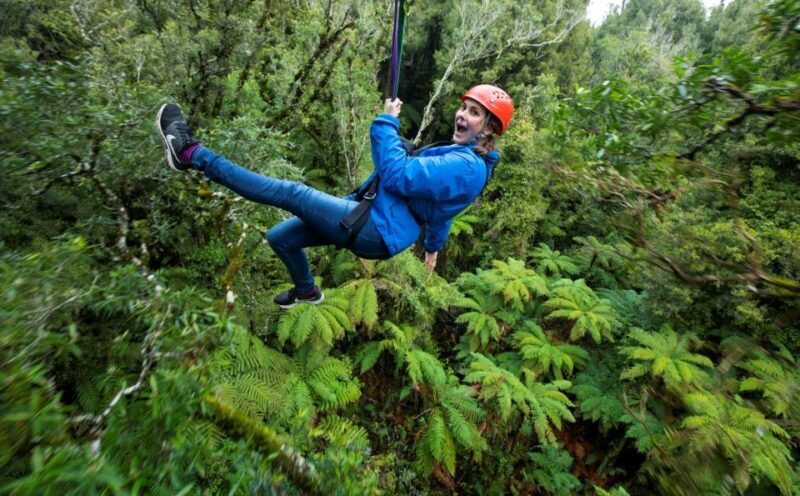 Rotorua: 6 Ziplines, Swing-Bridges & Wildlife Encounters - The Value of the Tour