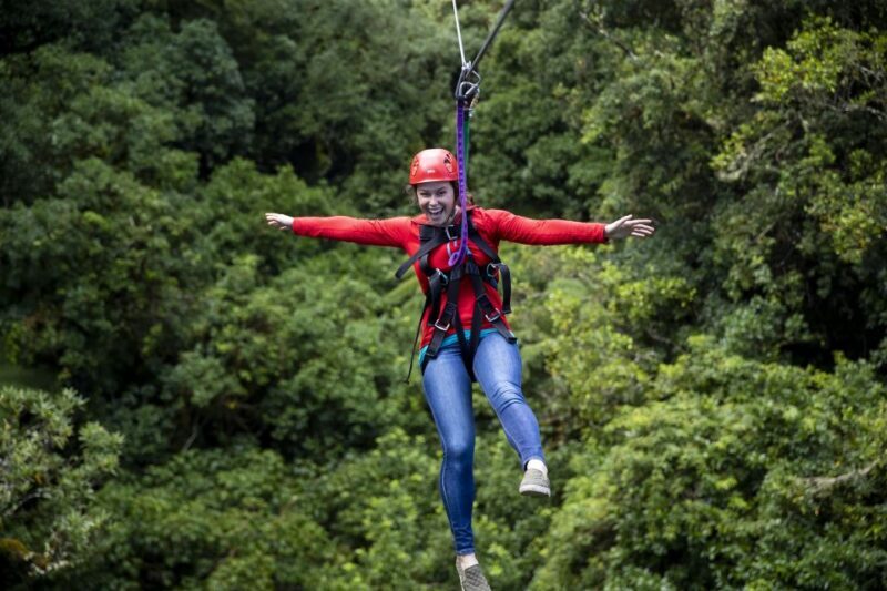 Rotorua: 6 Ziplines, Swing-Bridges & Wildlife Encounters - FAQ