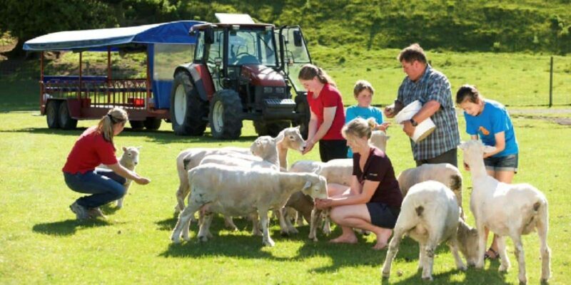 Rotorua Adventures Private Tour - A Deep Dive into the Rotorua Adventures Private Tour