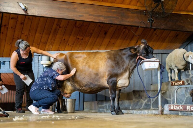 Rotorua: Authentic Kiwi Farm Experience at the Agrodome - Exploring the Agrodome: A Genuine Look at Kiwi Farming