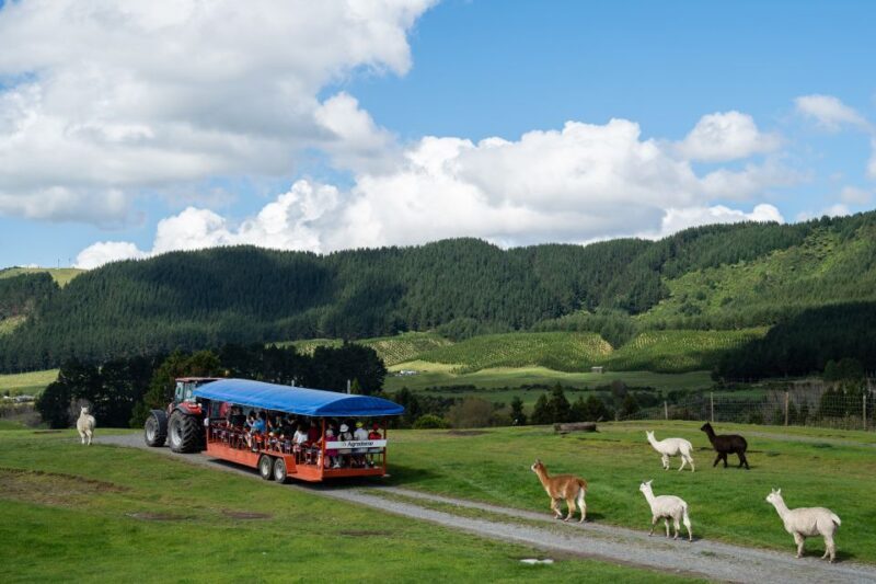 Rotorua: Authentic Kiwi Farm Experience at the Agrodome - Final Thoughts