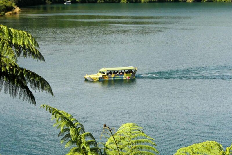 Rotorua City and Lakes Duck Tour - Final Thoughts: Who Will Love This Tour?