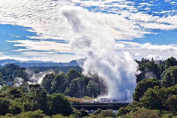 Rotorua Day Trip To Visit Te Puia Geothermal Wonderland - Exploring Rotorua: What You Can Expect