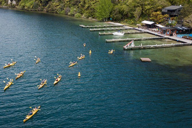 Rotorua: Daytime Scenic Lake Rotoiti Kayak Tour - Rotorua: Daytime Scenic Lake Rotoiti Kayak Tour — A Detailed Look