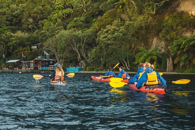 Rotorua: Daytime Scenic Lake Rotoiti Kayak Tour - Exploring the Lake Rotoiti Kayak Tour in Depth
