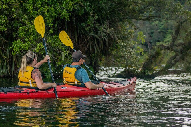 Rotorua: Evening Starlight Gourmet Kayak Tour Glowworms - FAQs