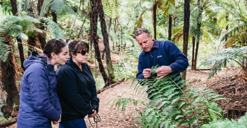 Rotorua: Explore The Lakes Half-Day Morning Tour - Exploring Rotorua’s Lakes: A Detailed Look