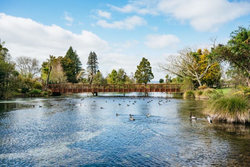 Rotorua: Explore The Lakes Half-Day Morning Tour - Who Will Enjoy This Tour?