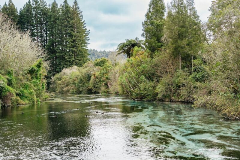 Rotorua: Explore The Lakes Half-Day Morning Tour - Practical Details and Tips