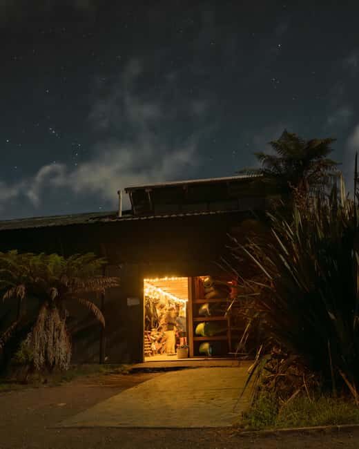 Rotorua: Glow Worm Kayak Tour - What to Expect on This Glow Worm Kayak Tour