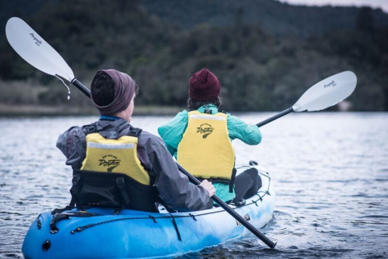 Rotorua: Glow Worm Kayak Tour - Practical Tips for the Best Experience