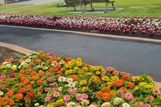 ROTORUA Highlights Tour In A Small Group - Exploring Rotorua in Depth: An Authentic and Informative Tour